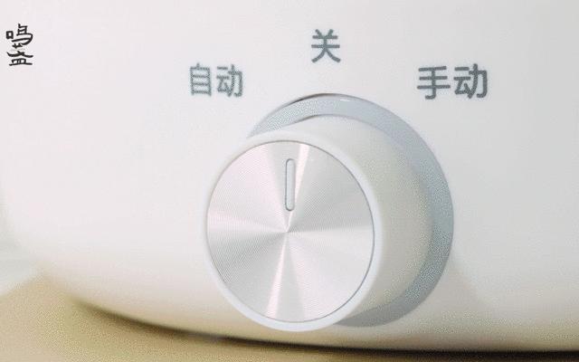 养生壶煮水果茶的茶具,煮茶养生茶具