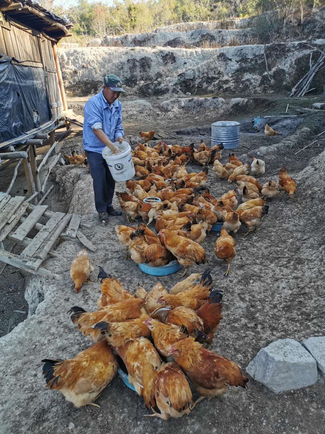 “黑山羊让我喜洋洋”——梅州平远仁居农民罗远平从“一穷二白”变“致富典型”