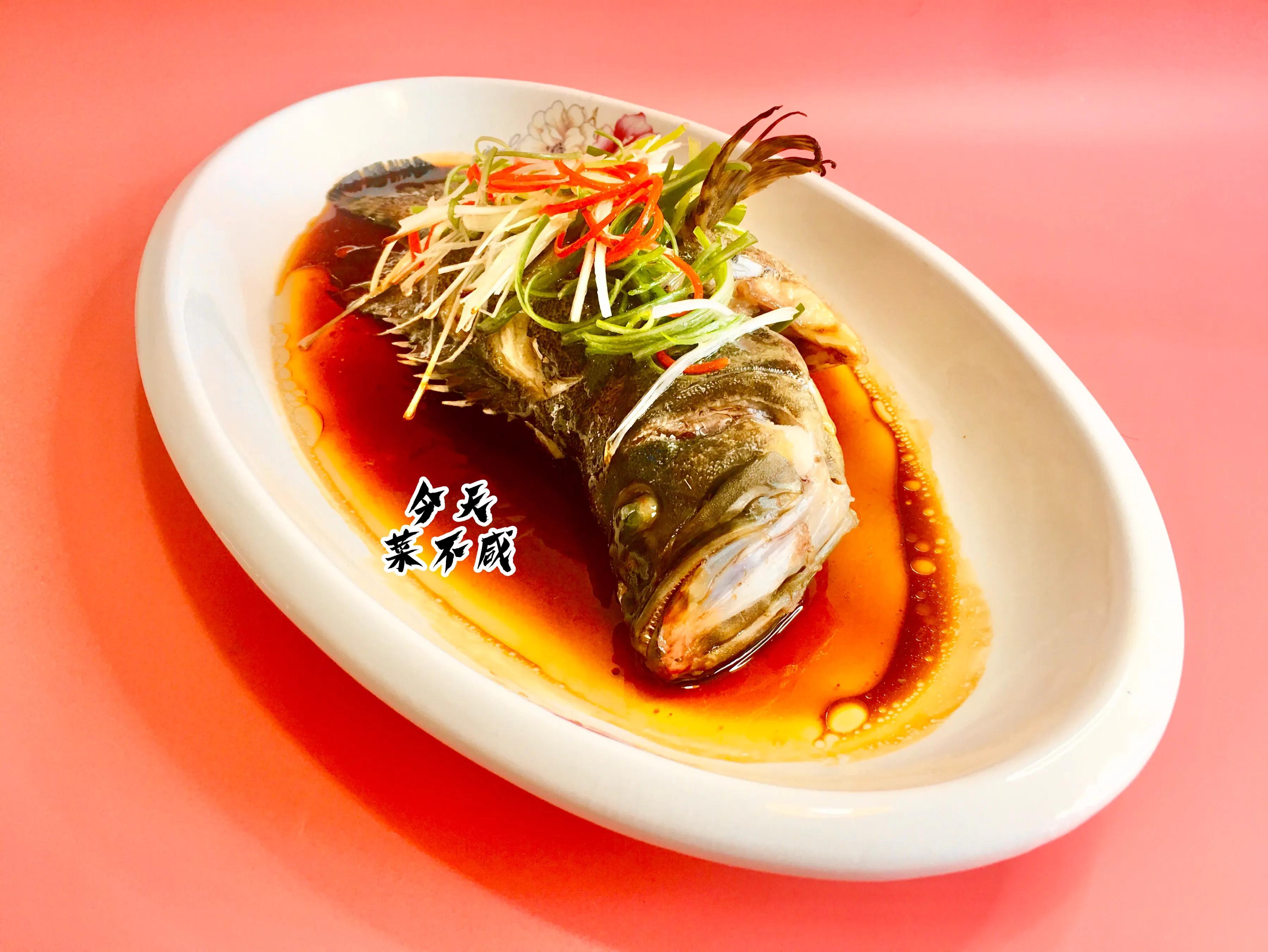 石斑鱼冷水蒸鱼还是开水蒸鱼好啊,石斑鱼蒸鱼切花刀盘圆视频教程