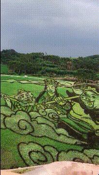 搞笑gif惊讶原来渣猫长这个样子,搞笑gif段子最后这只猫也太萌了吧