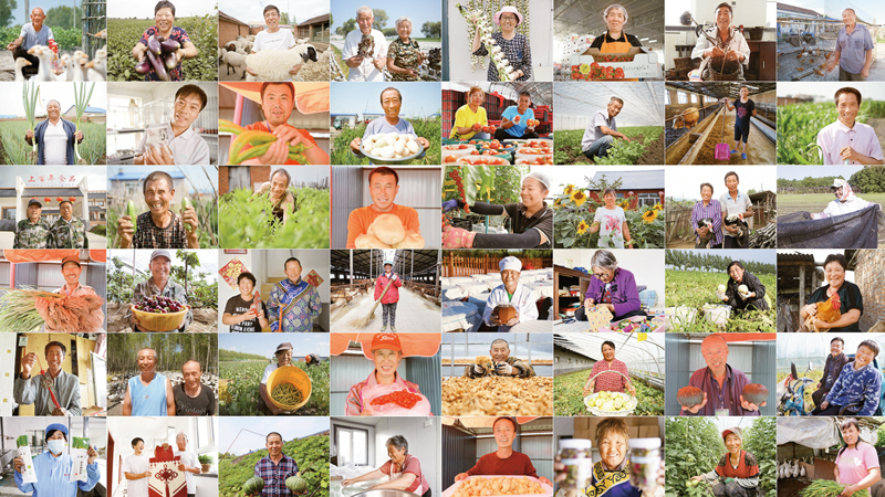 凝聚磅礴伟力引领民族复兴,理论视野筑牢民族复兴的精神支撑