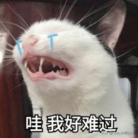 我花了180块，终于搞明白了闲鱼改简历背后的套路