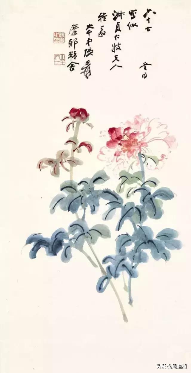 国画花卉大全教程视频,花卉小品国画图片大全