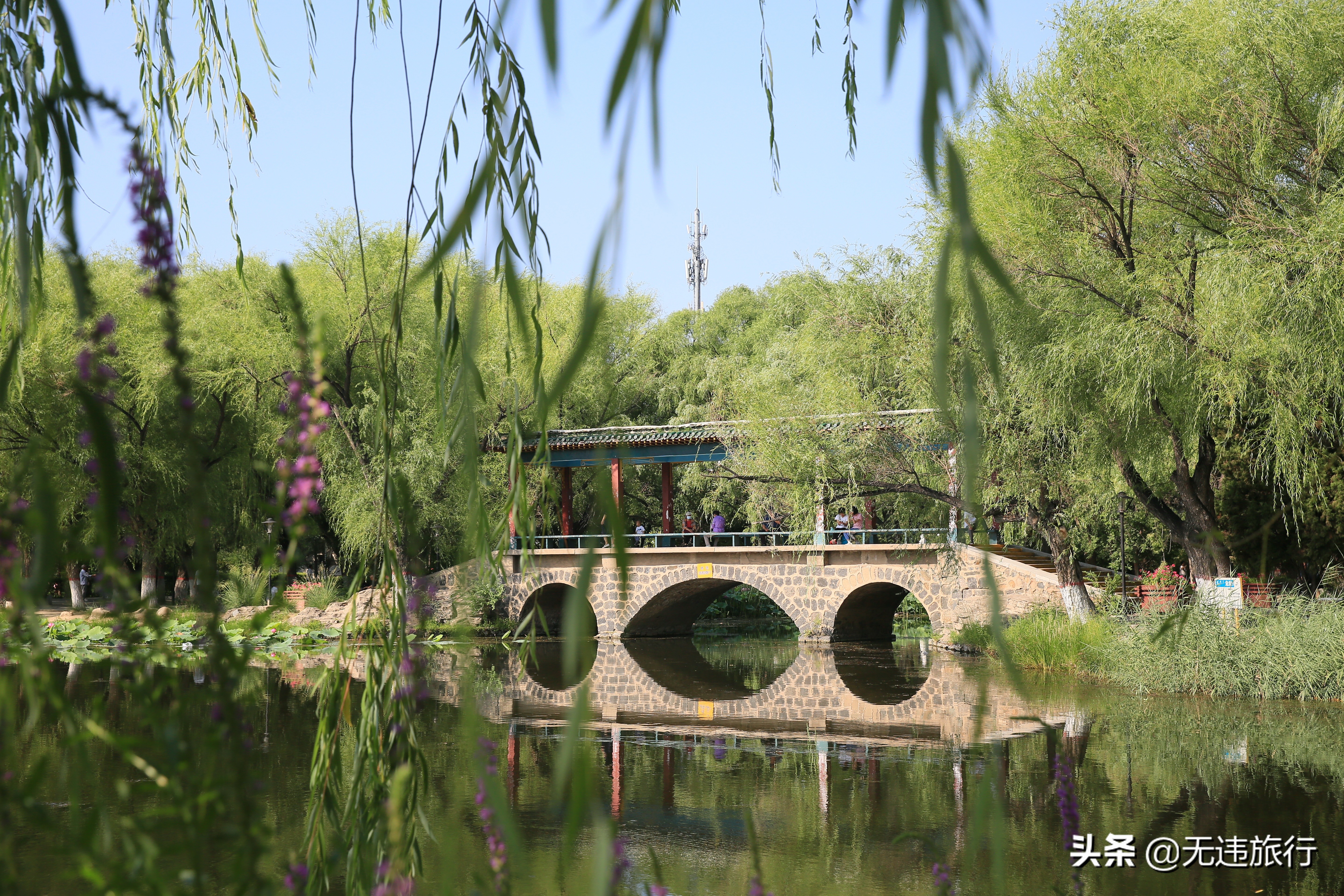 呼和浩特市旅游攻略最佳景点,内蒙古呼和浩特旅游攻略