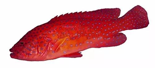 十种受欢迎的海鲜鱼类,最名贵的海鲜鱼类