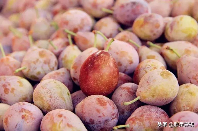 甜蜜多汁的新疆西梅你吃了吗,最顶级的西梅的味道