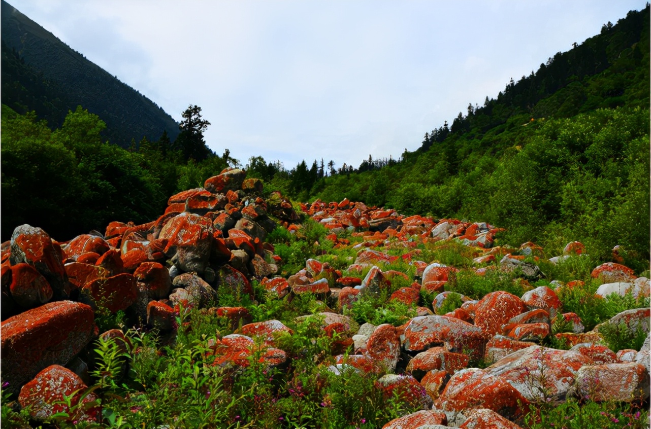 阿坝州红叶之旅,什么时候去阿坝州看秋景最佳