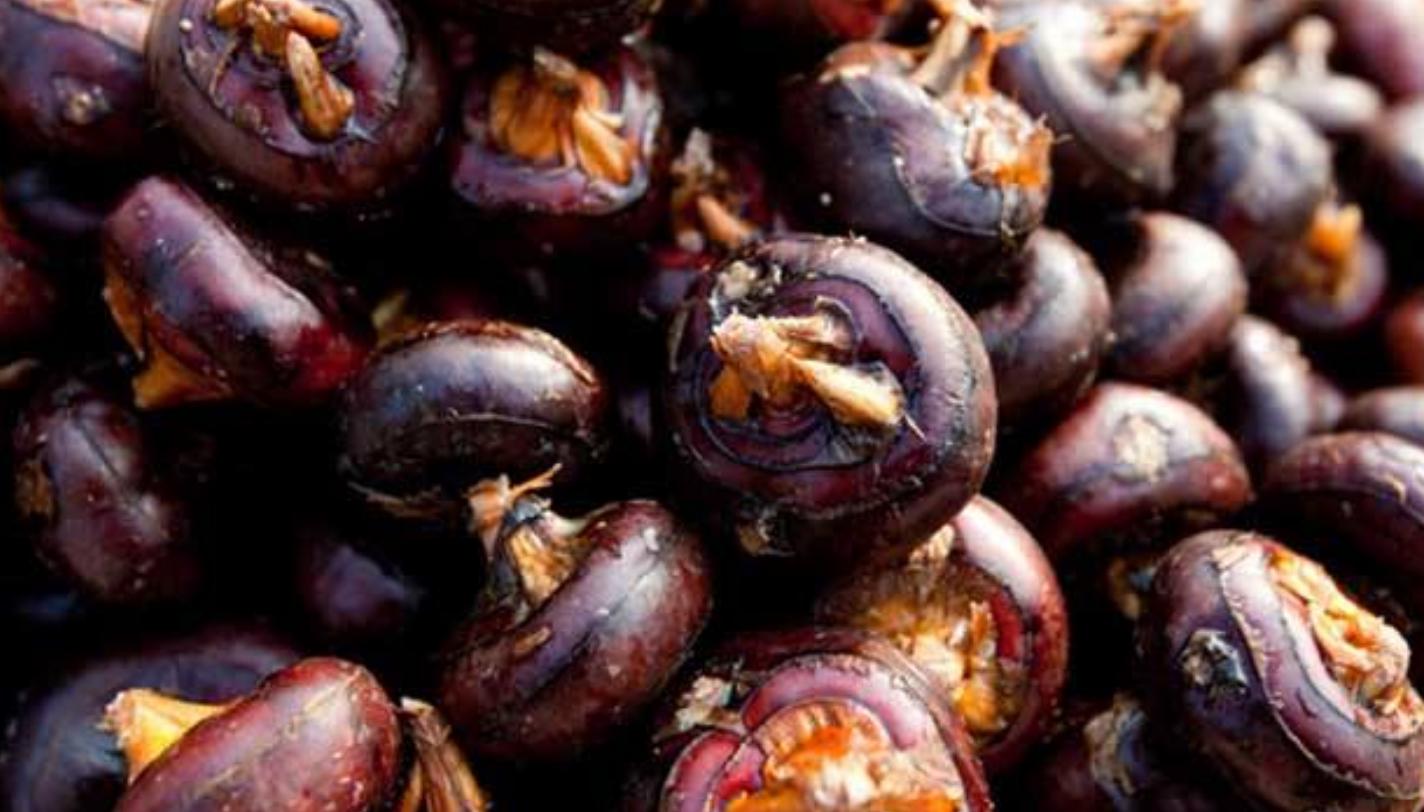 荸荠的最佳吃法和做法图文,荸荠最好吃的做法