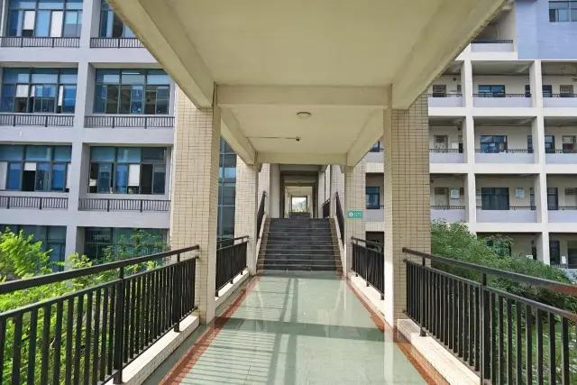 广东省内的大专院校排名表,广东省民办大专排行榜