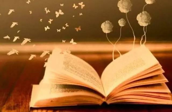 怎么学好语文初中,怎么学好语文小学