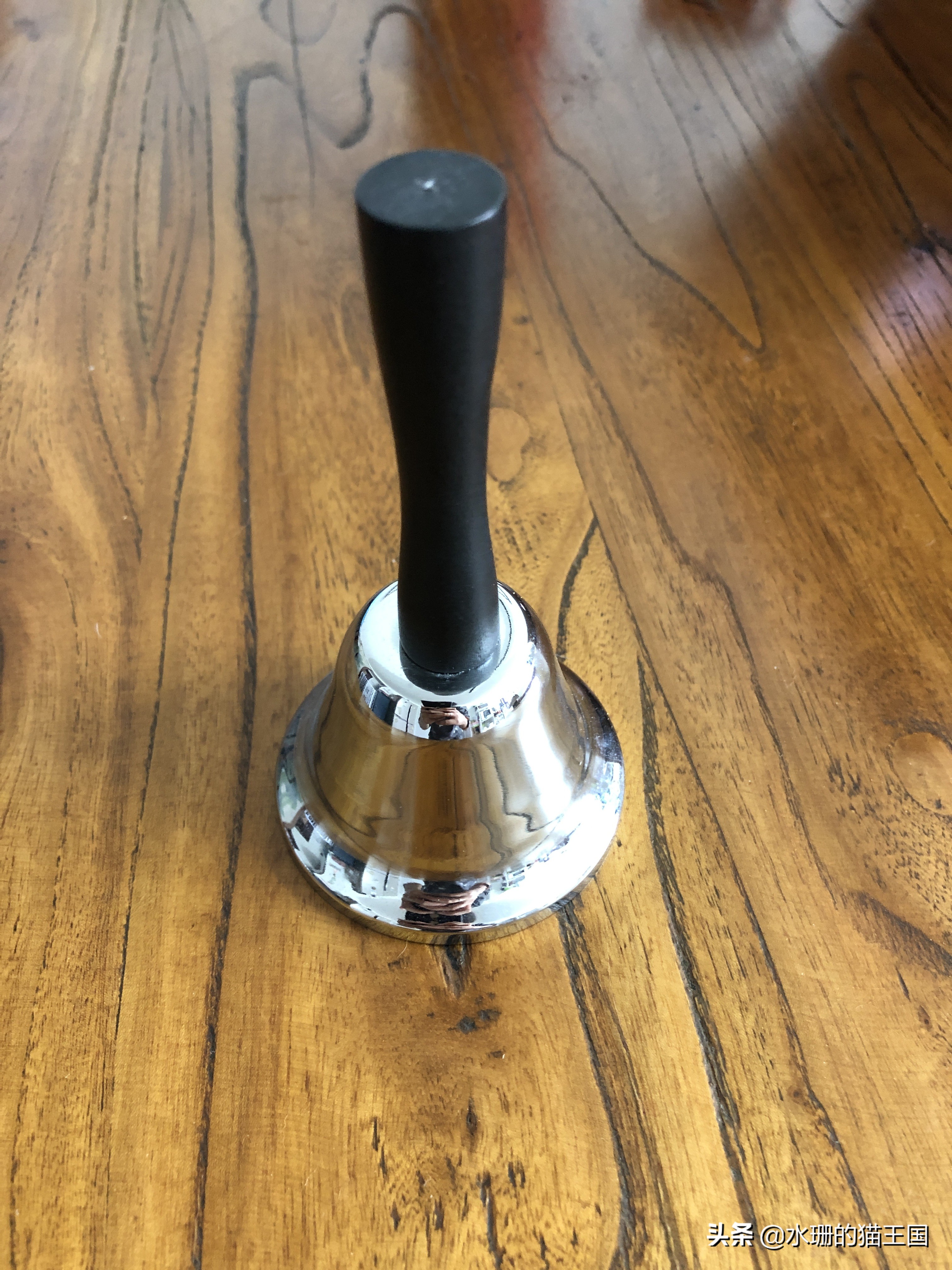 如何训练猫学会一些动作,怎么驯猫入厕的方法和技巧