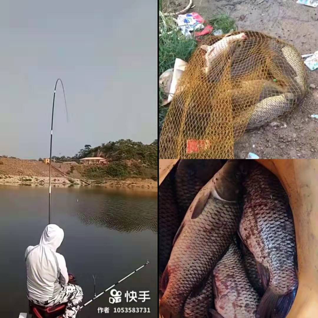 麦芽糖发酵饵野钓效果,初恋麦芽糖