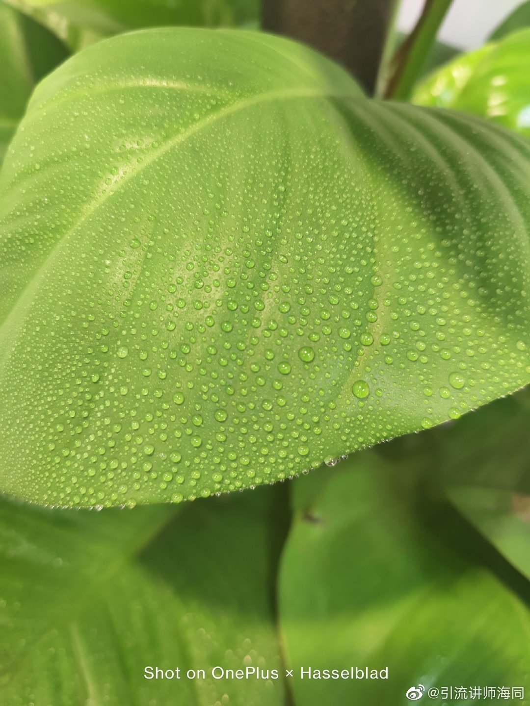 618买一加手机便宜多少,618买一加11