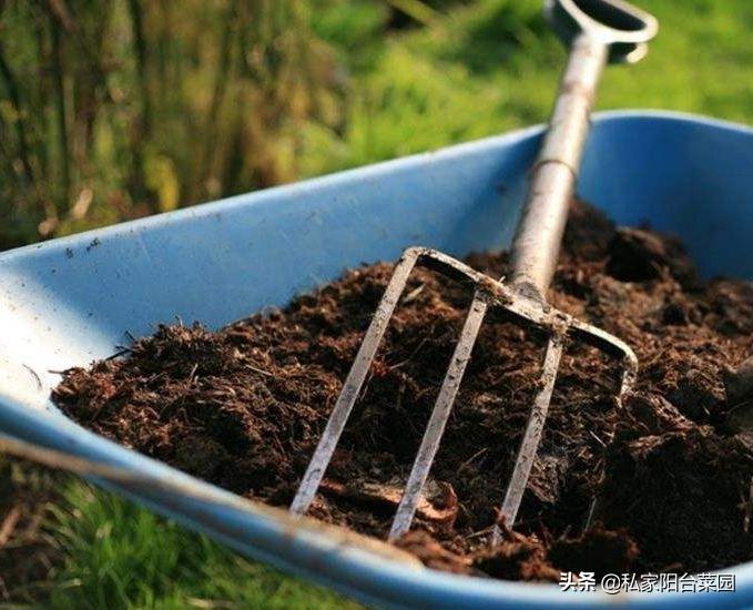 冬天豆渣沤肥的正确方法,冬季家庭厨余沤肥新方法