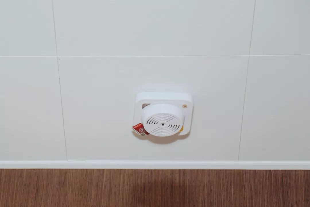 走，带你去看黄家湖畔的“蓝马甲”