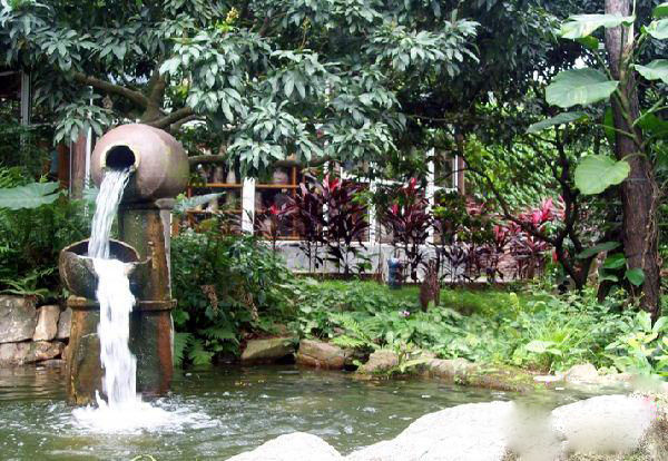 深圳自驾八大必去免费景点,深圳一日游必去十大网红景点