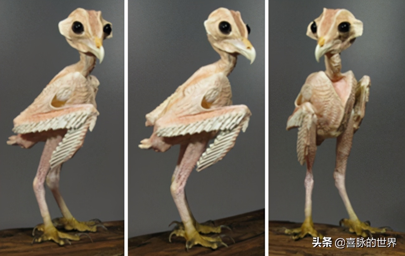 二次元中的“软色情”：无法量化的概念，无法量化的潜在危害性