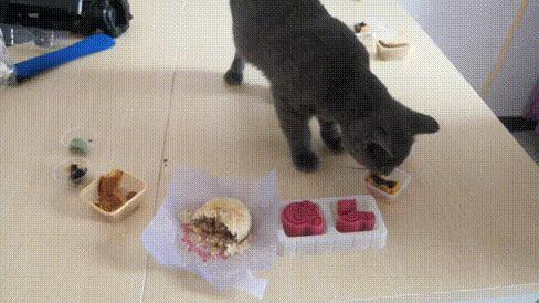 亳州月饼哪家正宗,月饼吃货测评