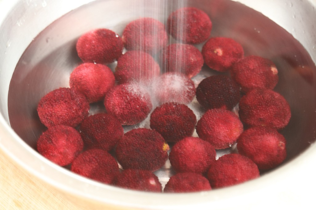 杨梅用盐水泡会有虫子爬出来吗,杨梅用盐水泡出虫子还可以吃吗