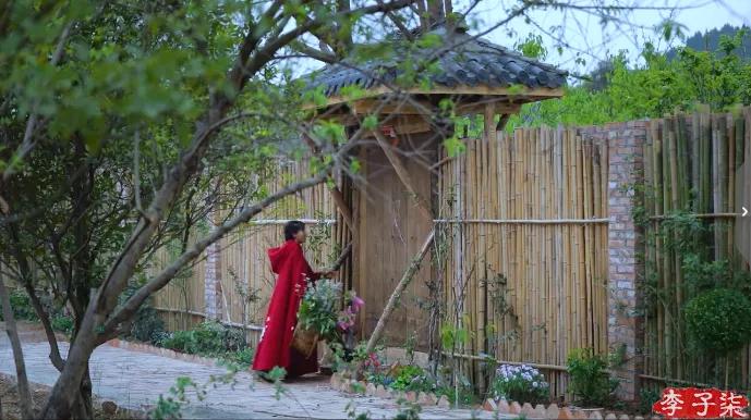 李子柒火起来,网红李子柒爆火的原因