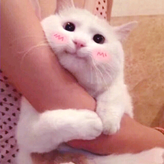 唱歌开始很难听后面好听,唱歌一定要从基础开始学