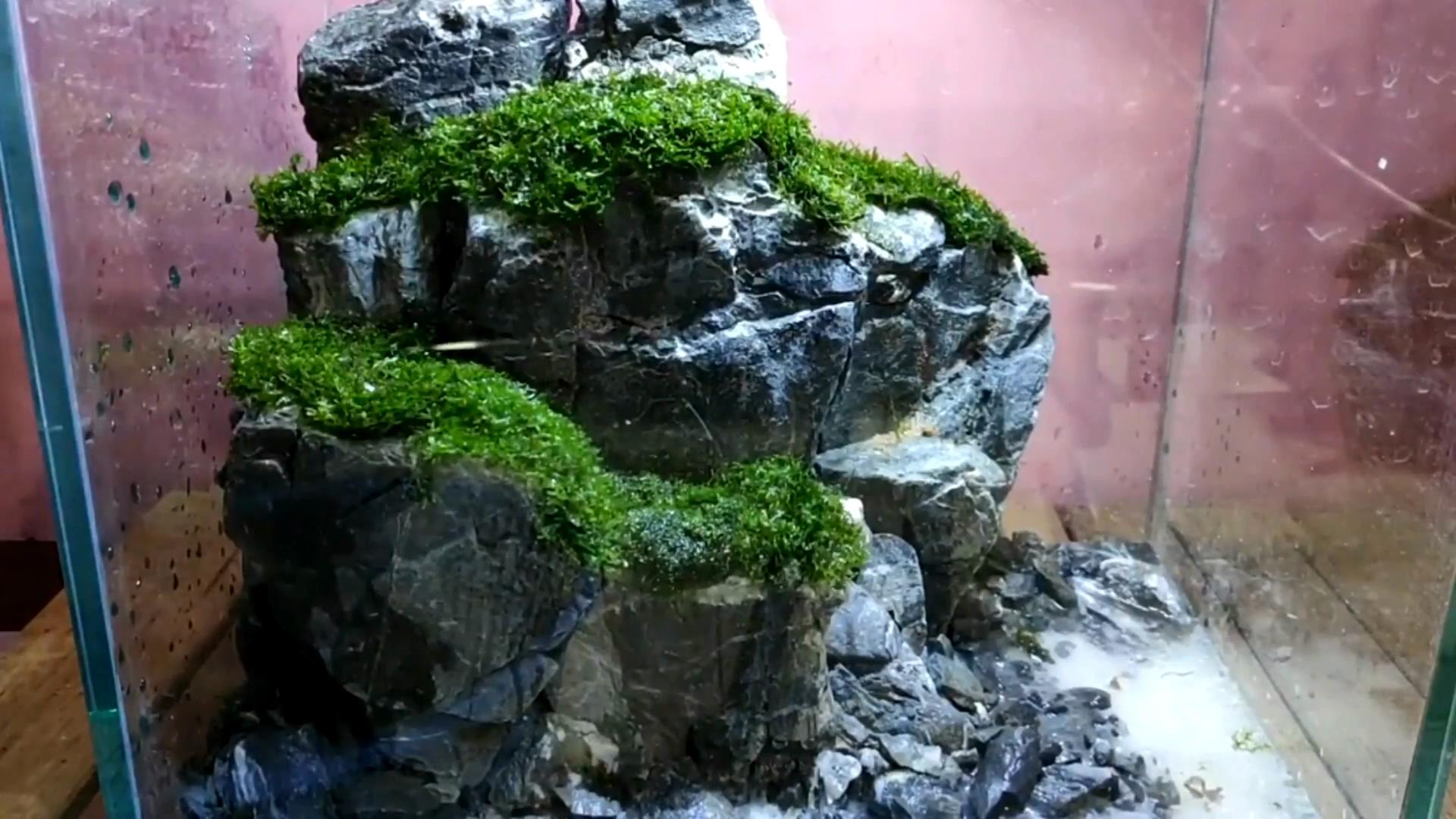 水陆缸石头拼接造景教程,真石头假山拼接造景