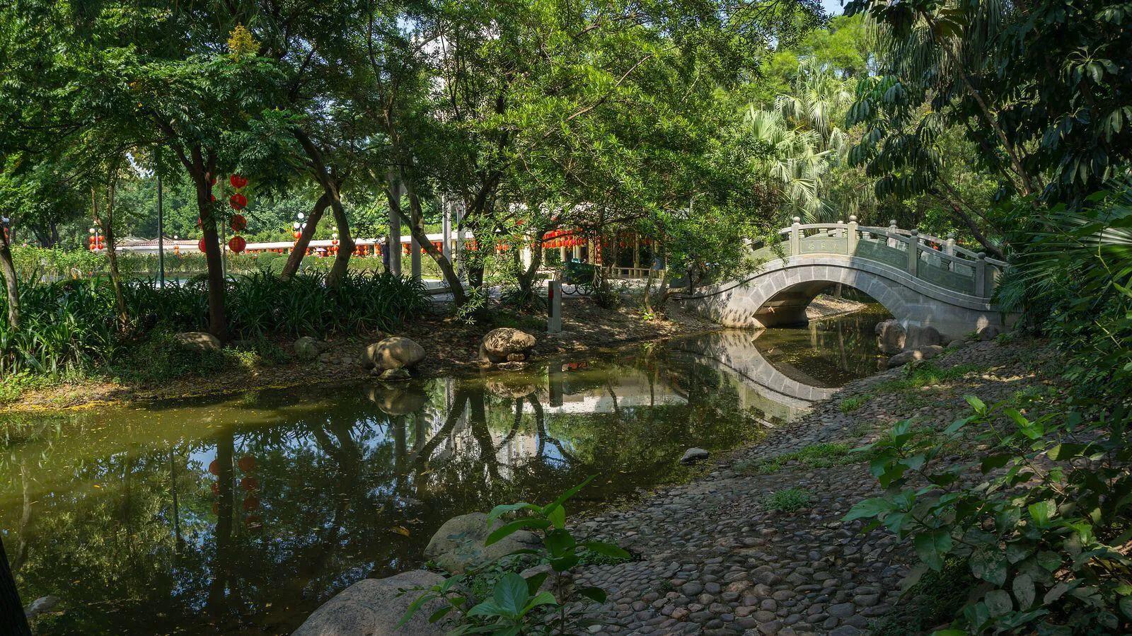 深圳花海景区推荐图片大全,深圳哪里有大片花海