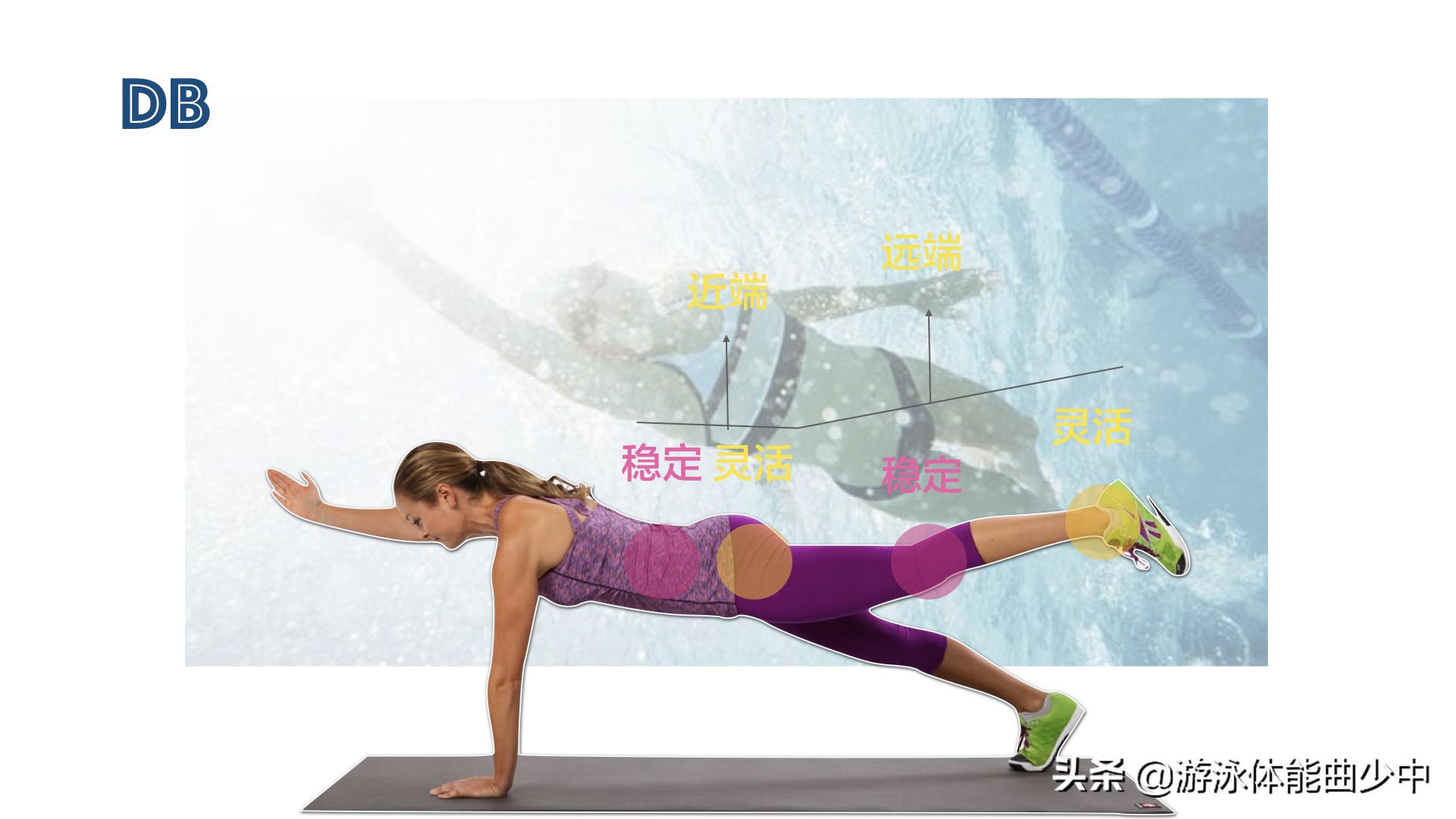 为什么游泳时要收紧核心?近端稳定造就远端的出色技术