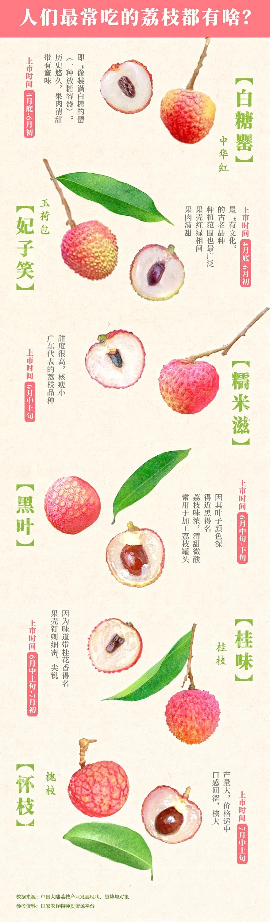 中国荔枝哪里好吃,哪个地方的荔枝最好吃最出名