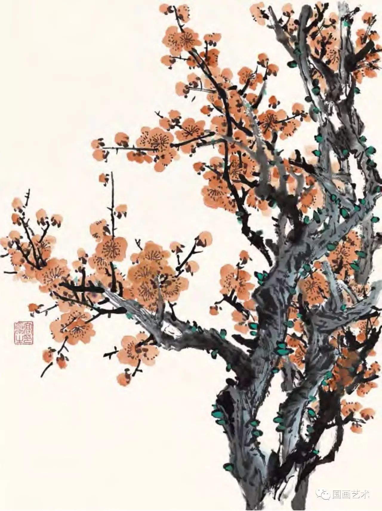 图文教程梅花,国画梅花的画法视频