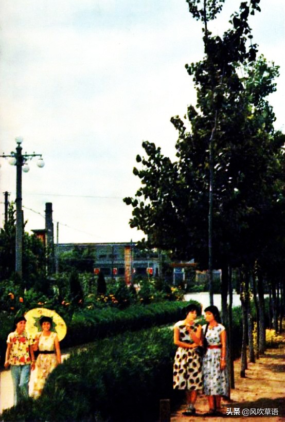 纺织城老照片视频,老照片1980年代的西安生活