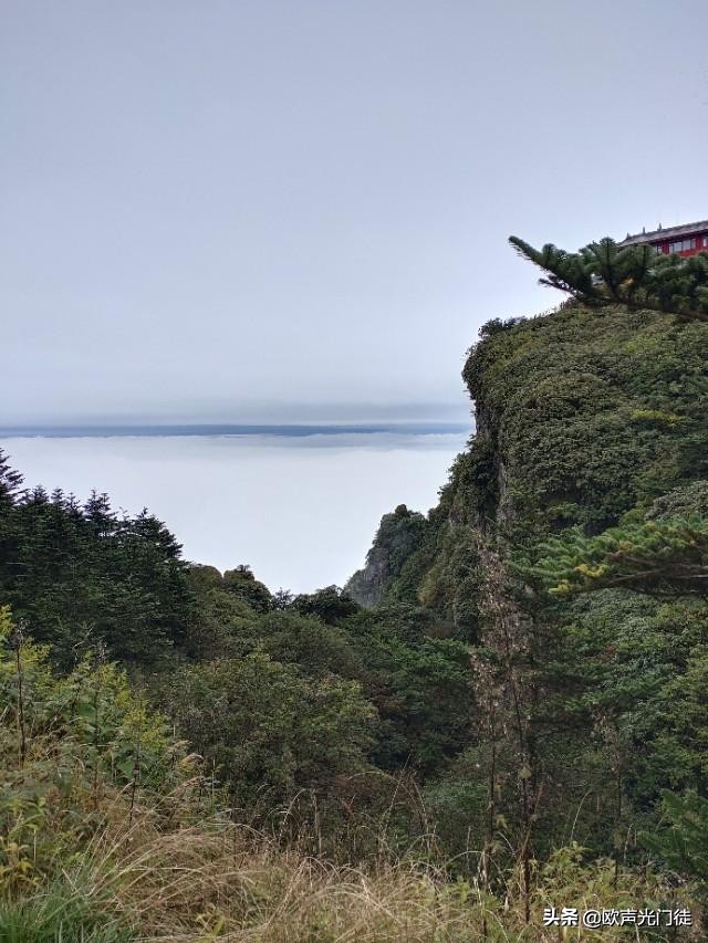 赛升药业私募股,股市分析赛升药业业绩迎来拐点