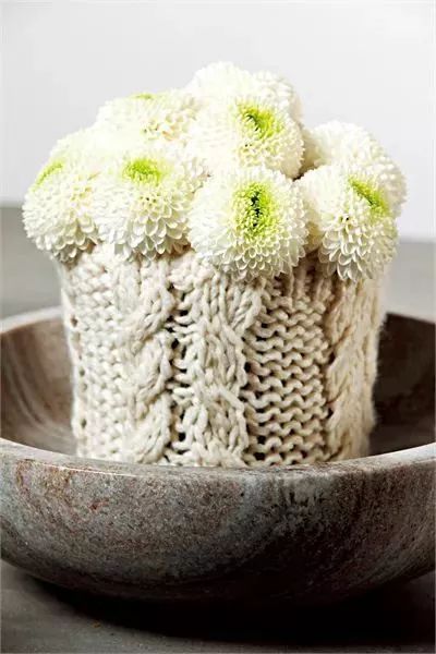 冬季切花菊,银叶菊鲜切花搭配