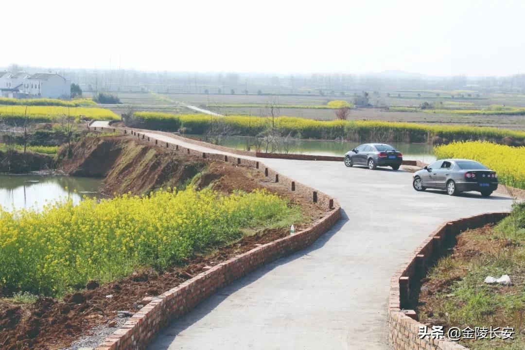 6合道哪套最强,合六一体化路线