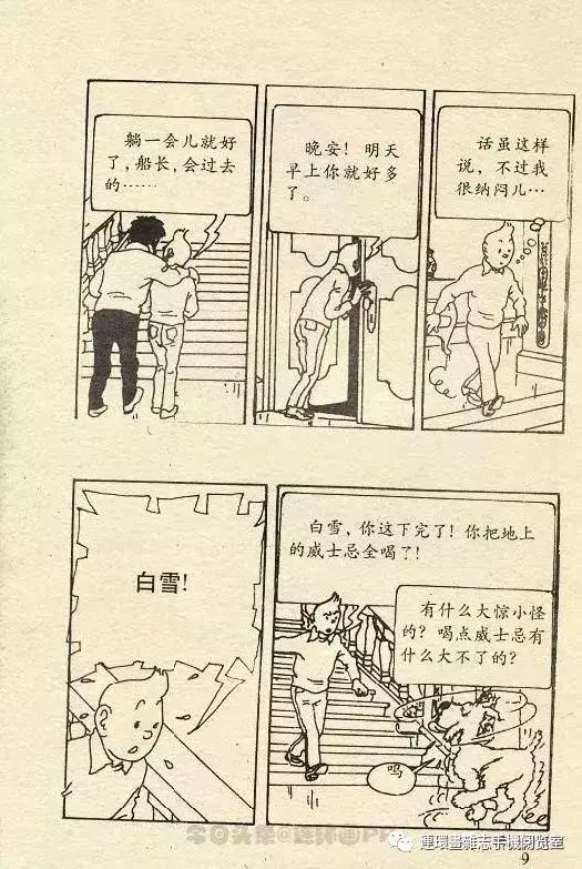 丁丁历险记之丁丁在刚果,丁丁历险记丁丁被石头绊倒