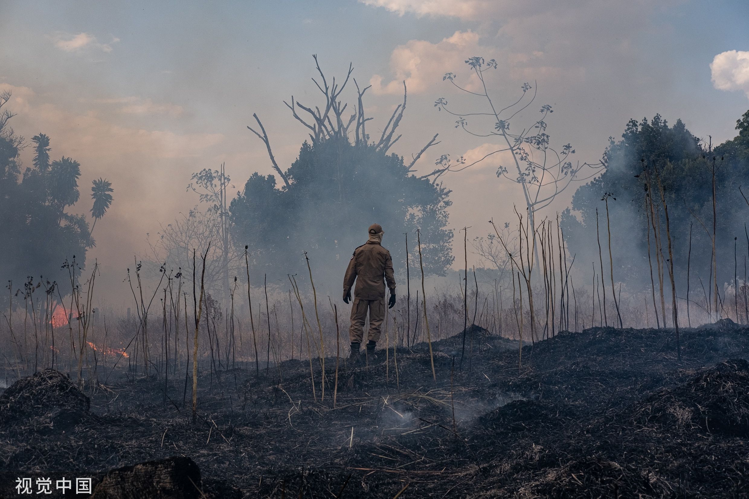 火在巴西烧，锅给中国扣，外媒再抹黑：中国进口大豆牛肉为亚马孙“火上浇油”