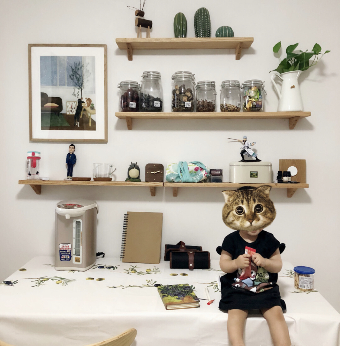 家里必备的十件小东西你缺哪个,给家里添置这些小用品幸福感很强