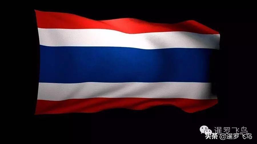 泰国宣布暹罗斗鱼为“国鱼”*旗国**鱼身价百倍