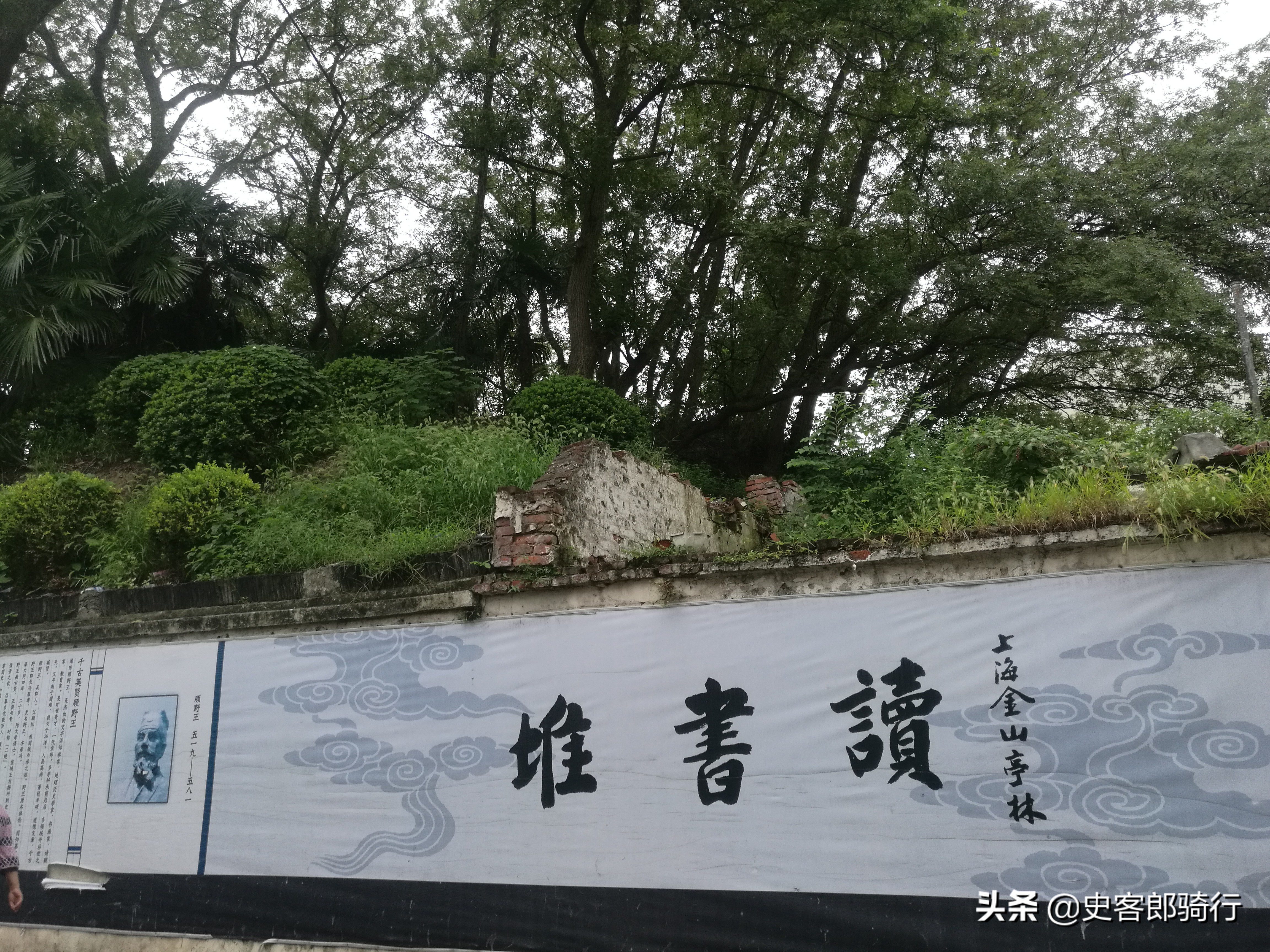 上海骑行看樱花,坐车看上海夜景