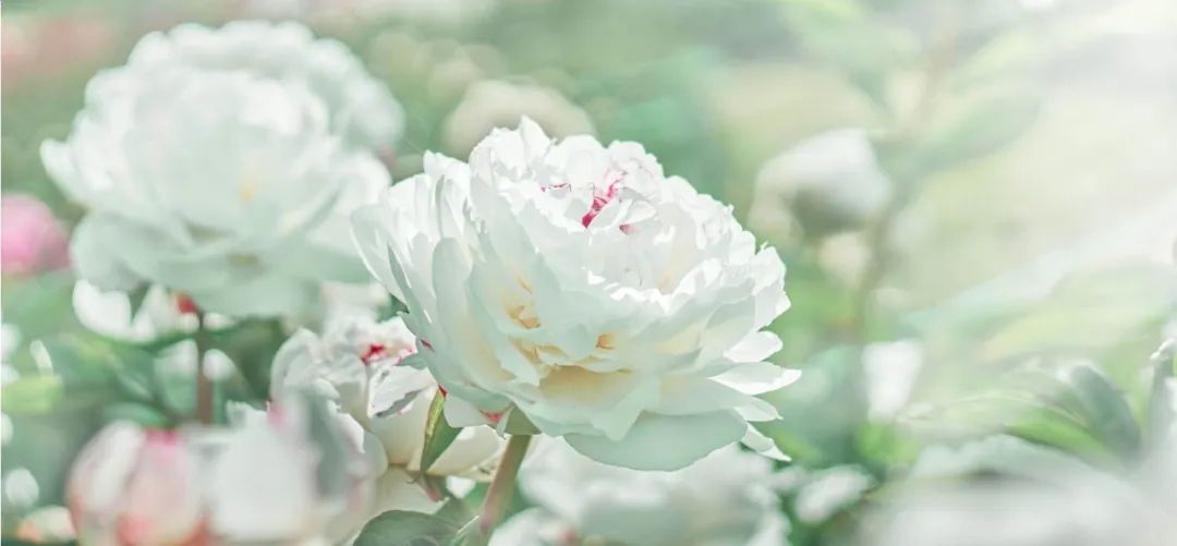 ems鎭㈠姝e父浜嗕箞,ems鎭㈠浜嗗悧