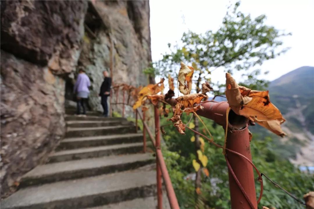 惊艳！乐清这里竟藏一处鲜有人至的世外桃源