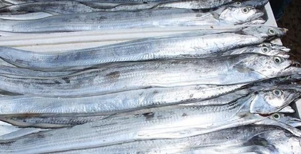 带鱼价格为什么差别很大,为什么超市的带鱼段价格差这么多