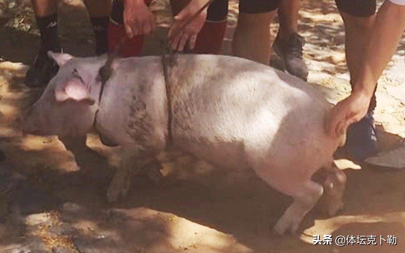 小罗进5球,小罗5球6助攻夺冠视频