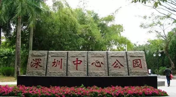 福田花卉世界最新消息,福田花卉世界改造