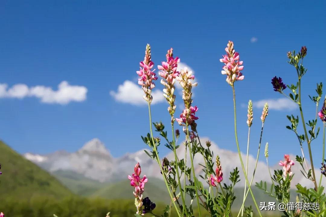 当你一无所有的时候的感悟,属于你的永远都在深度好文