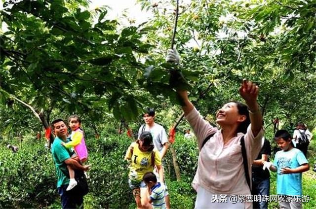 紫塞明珠张家界农家院,紫塞县农家院旅游