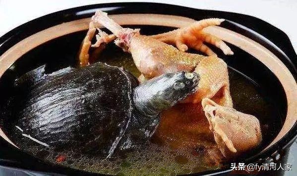 甲鱼的味道怎么形容,甲鱼的味道怎么样