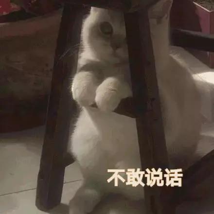 520卖假货,代购520假货