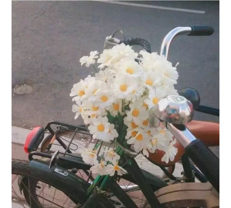 怎么选香水平价夏天,盲买都不会出错的香水推荐