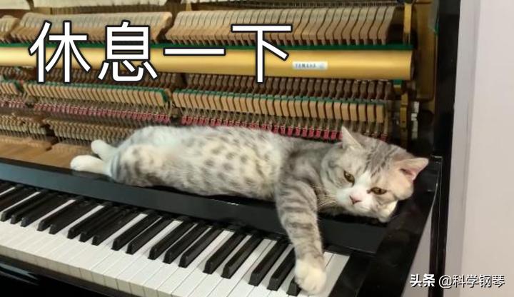 如何放松唱歌,弹琴速度快的时候如何放松